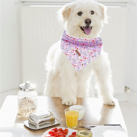 Dog Bandanas 2PC Set - Picture 4 of 8